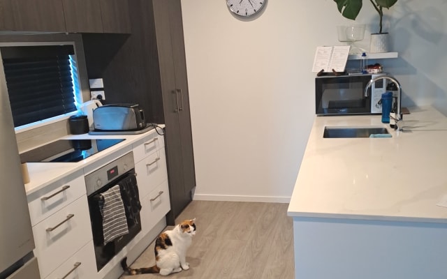 Cómoda habitación privada, con compañeros felinos. - Foto 7
