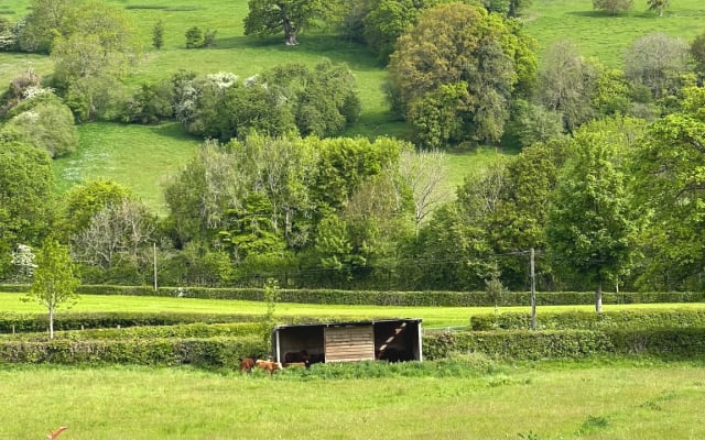 Private room near Hay on Wye
