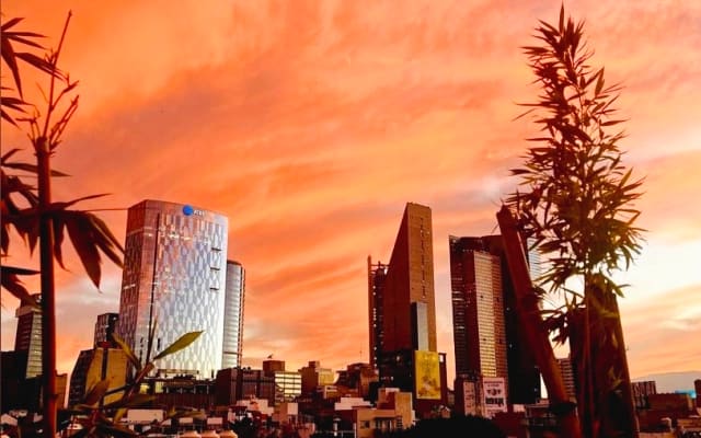 Chic & Cozy Room with amazing private Rooftop in the Heart of Gay CDMX - Picture 10
