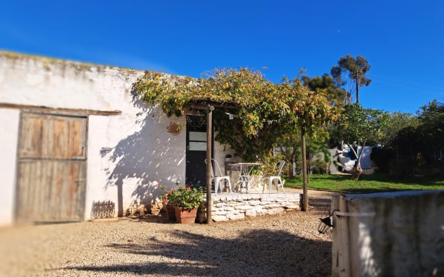 Comfortable Accommodation: Olive Grove Cottage in Koringberg offers a  - Picture 11