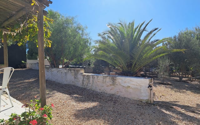 Comfortable Accommodation: Olive Grove Cottage in Koringberg offers a  - Picture 12
