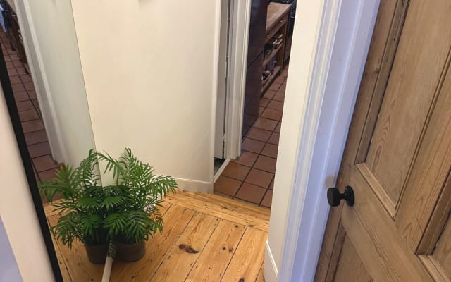Stylish Victorian flat with garden in London's queerest area - Picture 13