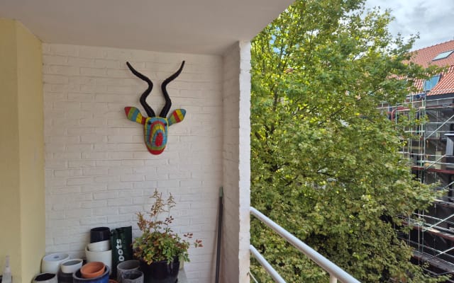Annonce de Thierry sur misterb&b - terrace at the back