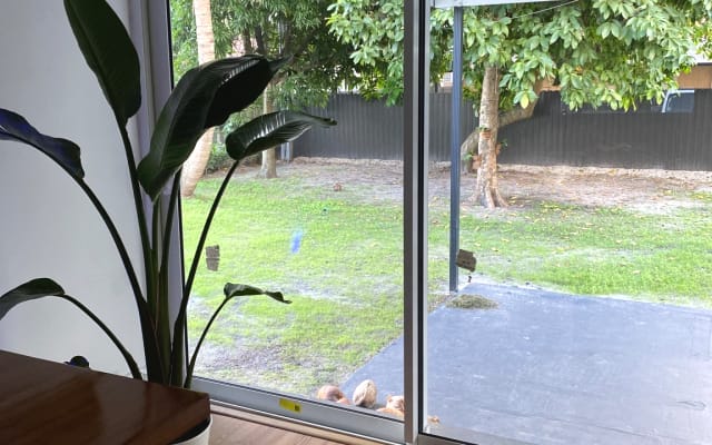 Room at home with excellent energy where you can be at peace.