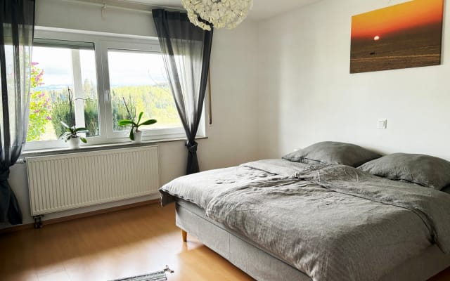 Beautiful vacation apartment in the Panorama House - Apartment Säntis