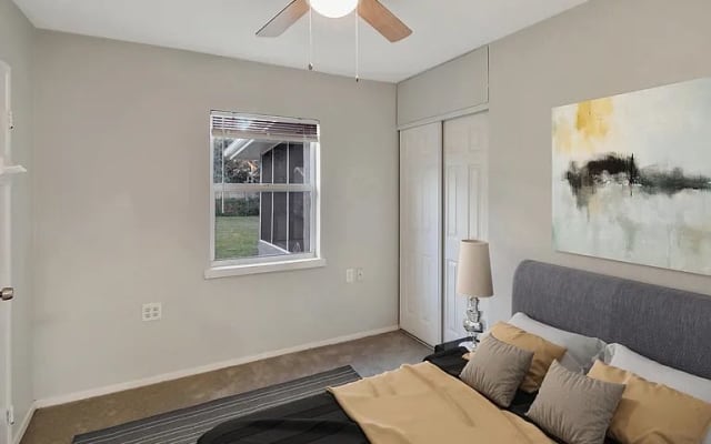 Short de bain facultatif - Surfers Island Hideaway
