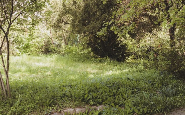 Valeria's listing on misterb&b - Communal garden. You are allowed to use it anytime at your convencience.