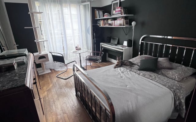 Beautiful artist's apartment in Montmartre