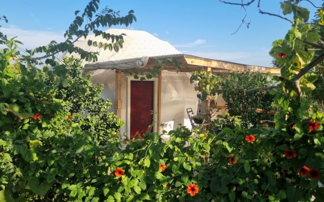 Mountain Dome - Hadas's garden