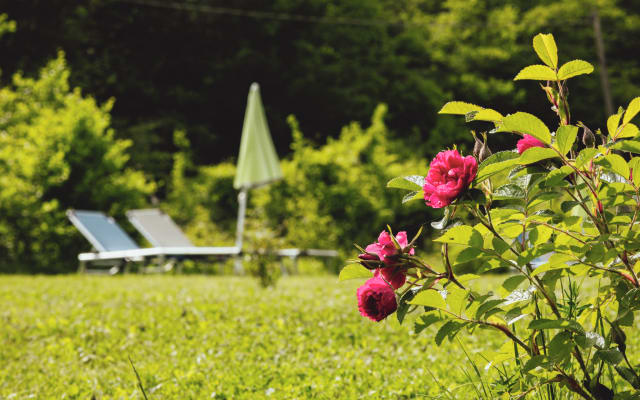 B&B único en un paraíso verde con bienestar natural en Umbría Italia