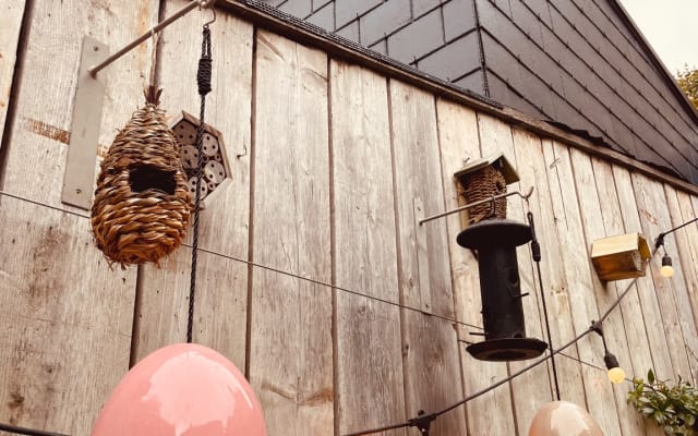 La "Casa degli uccelli" a Bruges - Foto 7