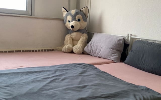 Small Apartment in the middle of Cologne
