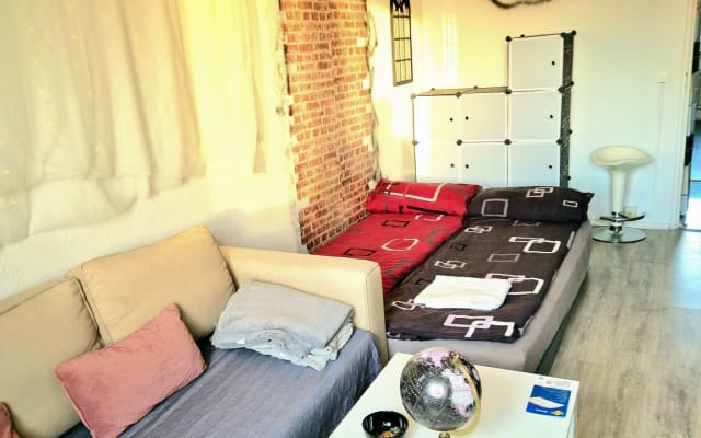 Big Nice Trendy Room in Shared Apartment 12 min to Downtown Alexanderp