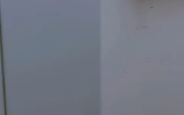 Nur alleinstehende...
Unterteilung.........