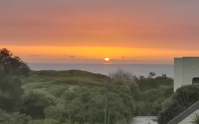 Milkwood & Sea Studio
