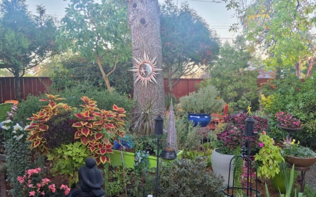 Welcome to this beautiful well-maintained character home