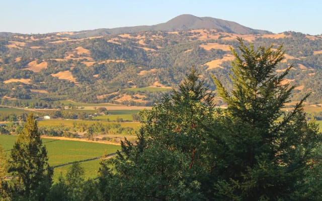Alexander Valley Lodge mit Pool, Whirlpool, Tiki Bar, Wasserfall auf...