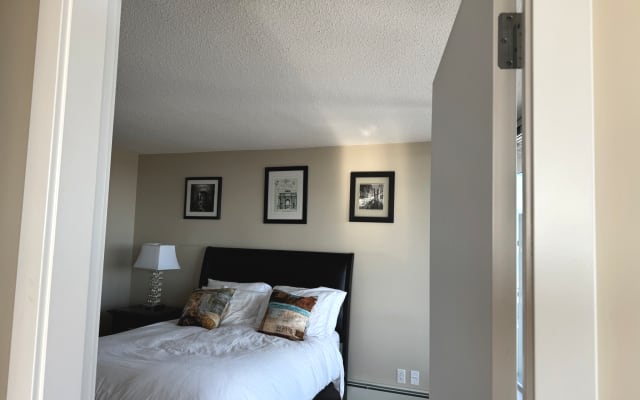 Stunning Rooftop Master Suite + Sitting room + 800 Sq Ft Rooftop Patio - Picture 20