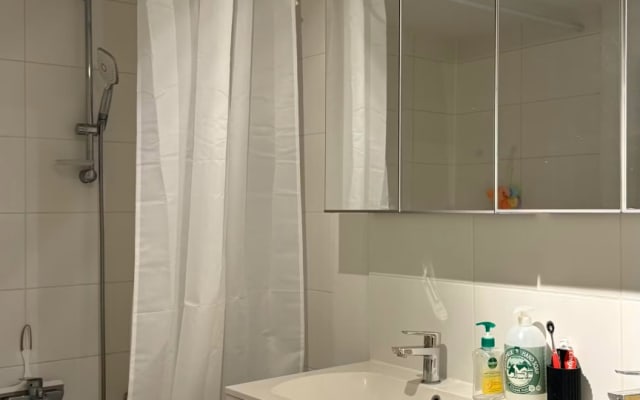 Helle Wohnung in Ixelles