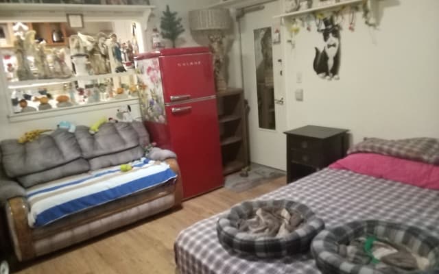 enjoy cool love and fun in cats paradise near disneyland - copy 01 - copy...