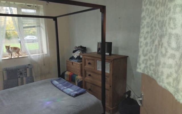 room available has to like cats as i have 2