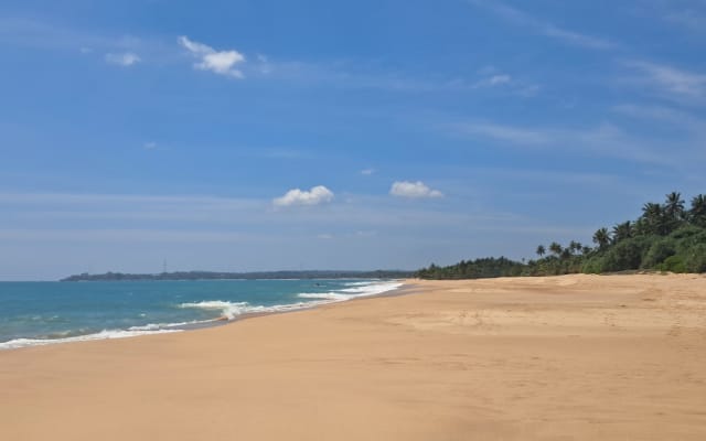 Belle oasis de nature et de plage - Photo 6
