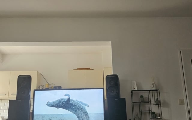 Appartement élégant de 2 chambres à coucher près du métro Rodebeek - Photo 11