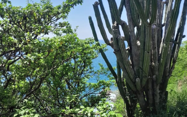 Spacious Secluded Sanctuary with Mexican Charm