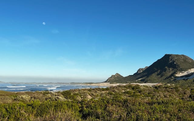 Yellowwood auf Herron: Flucht am Meer in Betty's Bay