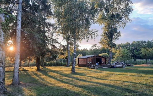 Small, discreet cottage on private pond.
Near Lac du Der Chantecoq.