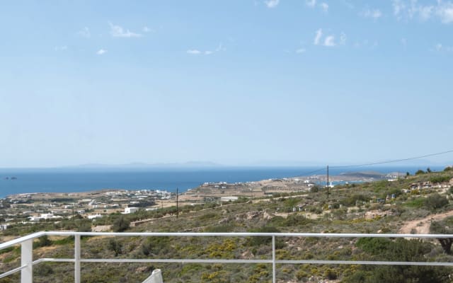 Terpsis Suite - Picture 11