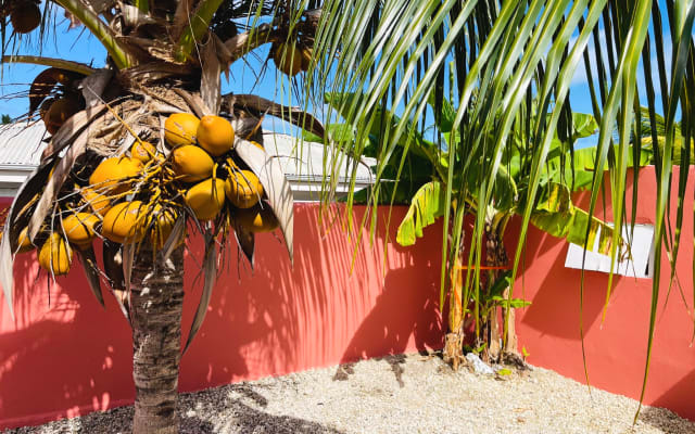 tropical house 100 m from the beach swimming pool beach nearby - Picture 11