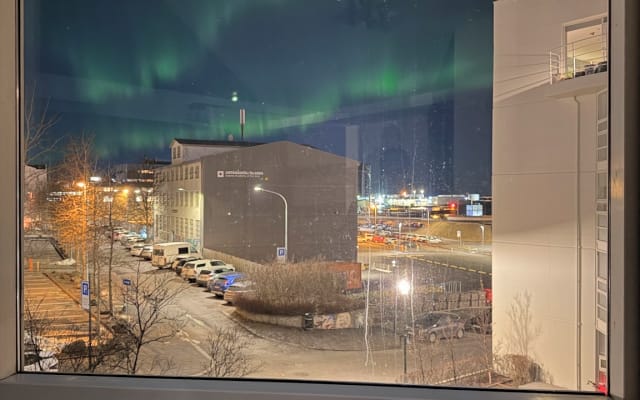 Soggiorno elegante in centro, a 2 minuti a piedi dal KIKI Gay Bar e dalla vita notturna di Reykjavík - Foto 8