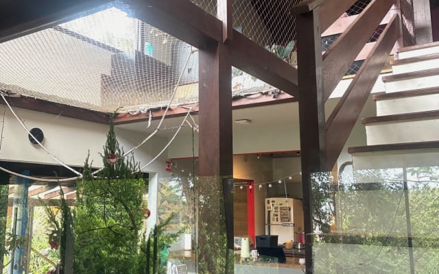 Affen-Wohnzimmer
Bapho-Suite mit Klimaanlage - Foto 12