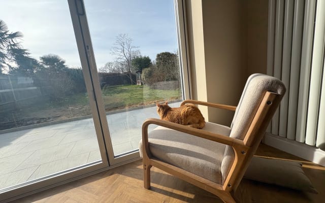 Ian's listing on misterb&b - Friendly house cat