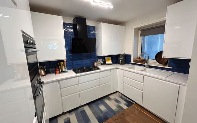Beautiful flat by Clapham Common (with 2 dogs!)