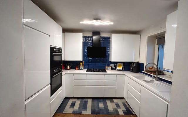 Beautiful flat by Clapham Common (with 2 dogs!)