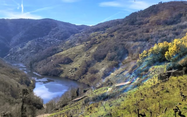 CABAÑA DO REI se perdre dans les vignes à RIBEIRA SACRA