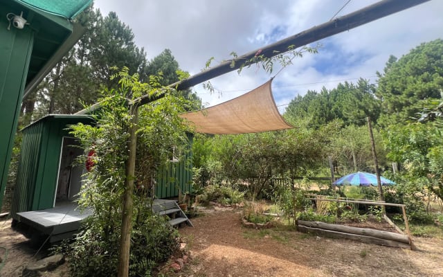 Tenda Glamping Yurt PARTILHADA. - Foto 14
