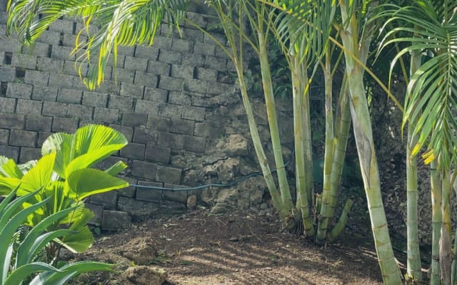 45 m² garden-level apartment offering comfort and privacy. - Picture 10