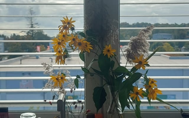Sonnige Wohnung an der Therme.