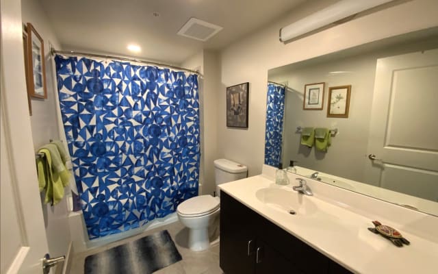 Beautiful  2/2 Apt w Views on the New River in Downtown FT Lauderdale