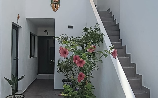 la casa de los Geckos
