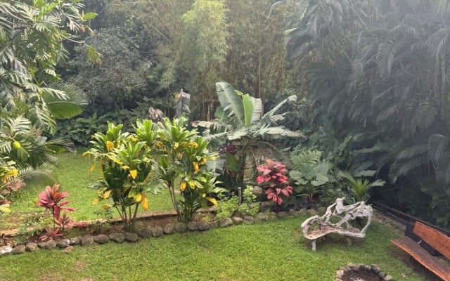 Jungle stream sanctuary- Double room available - Picture 18