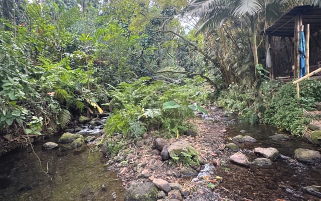 Jungle stream sanctuary - 2 double rooms - Picture 17
