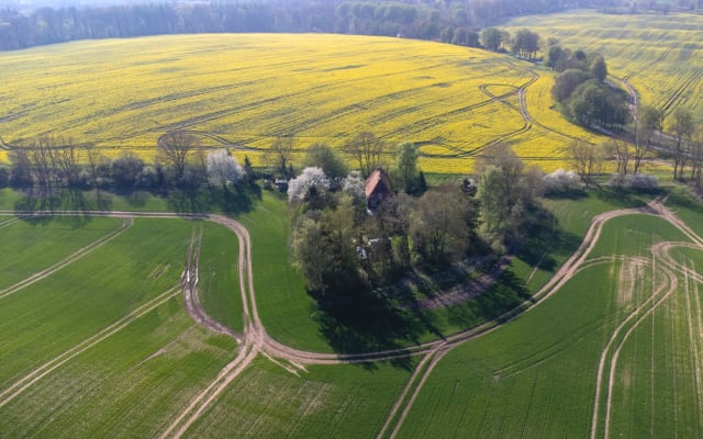 Thilos Inserat auf misterb&b - Mitten im Feld, ganz für Sie allein. Nur wenige Schritte von der "Feldlerche" entfernt erwartet Sie unser Grillbereich mit Sitzgelegenheiten. Durch die einzigartige Lage am Feldrand ist hier absolute Ruhe garantiert. 