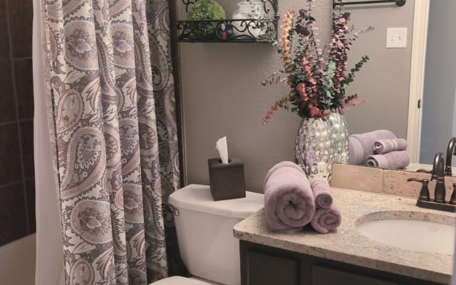 Stylish comfort 15 minutes from DFW