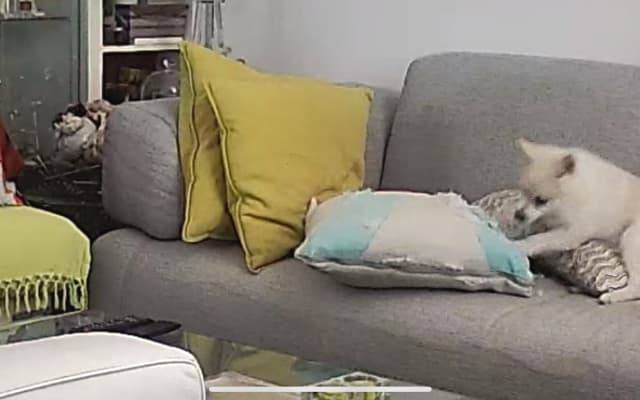 Schöne Wohnung Apartment, im Herzen des Stadtzentrums auf