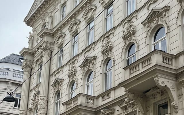 Stanza in affitto nel cuore di Vienna con ampia biblioteca