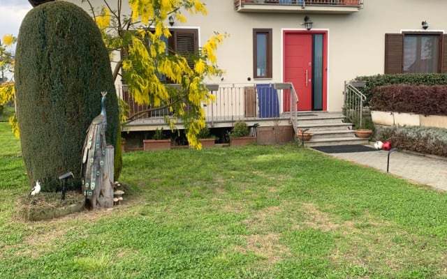 Apartment relaxation and comfort and business & travel